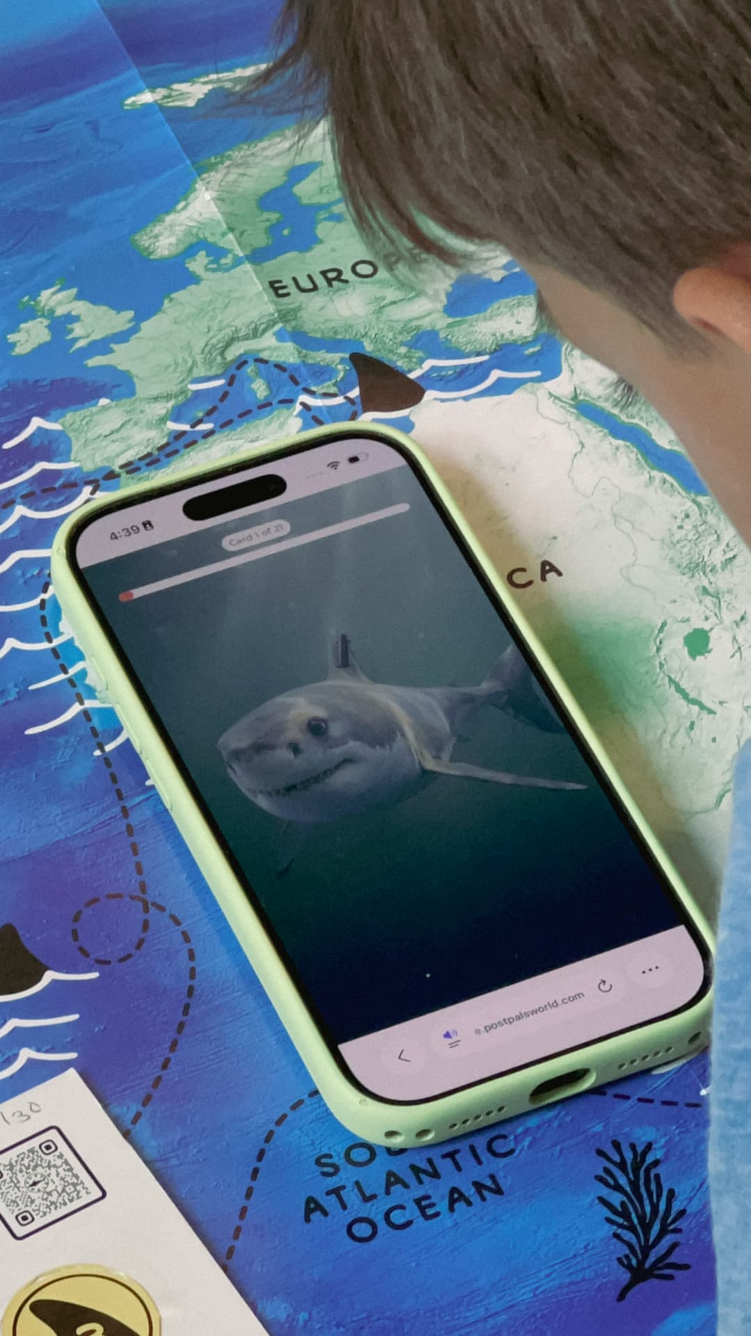 A child holding a phone that shows a photo of a real tagged white shark, held above the printed OCEARCH tracking map