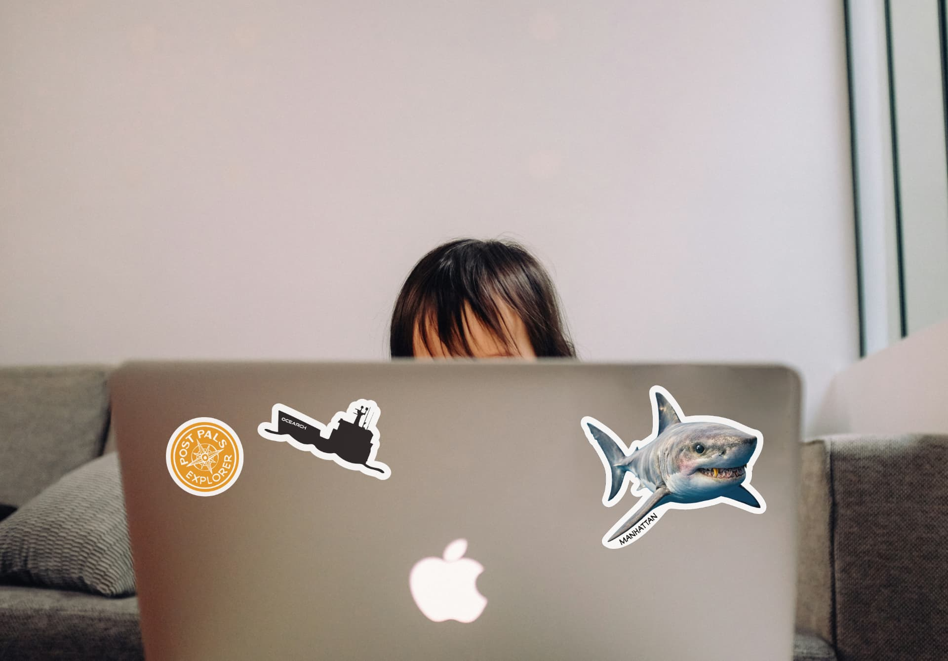 12 Collectible Shark Character Stickers